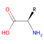 Combi_aminoAcids_structure